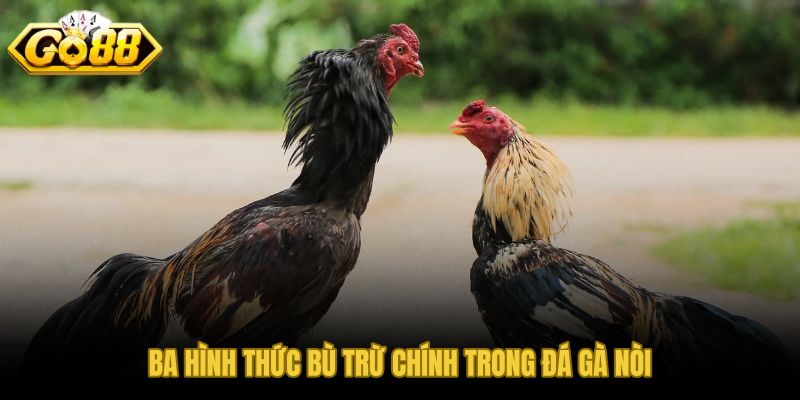 Ba hình thức bù trừ kèo đá gà nòi theo phong độ và thể trạng