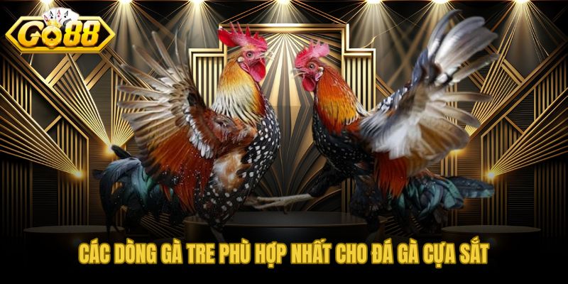Bốn dòng gà tre nổi bật cho trận đá gà tre cựa sắt