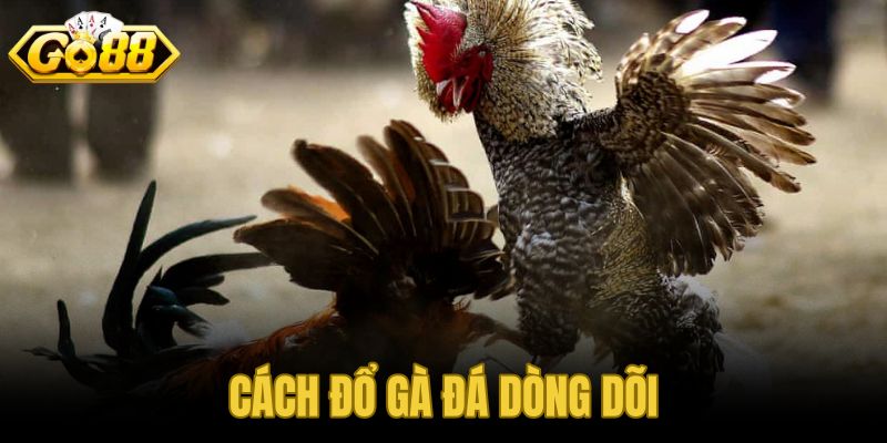 Cách đổ gà đá dòng dõi