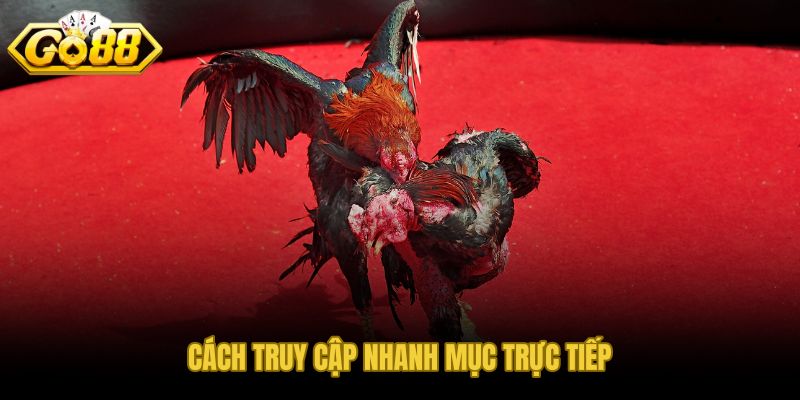 Truy cập nhanh trực tiếp đá gà C1 GO88 thiết bị và đường truyền
