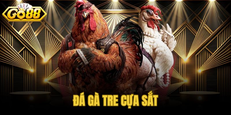 Đá gà tre cựa sắt