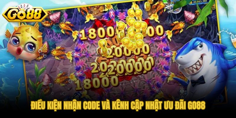 Điều kiện hồ sơ hợp lệ và kênh cập nhật code GO88 chính thức