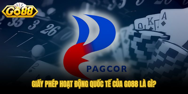 Giấy phép hoạt động GO88 và cơ sở xác minh pháp nhân quốc tế