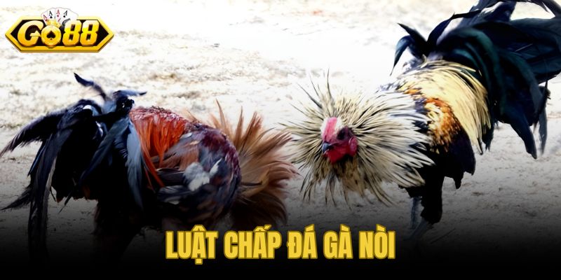Luật chấp đá gà nòi