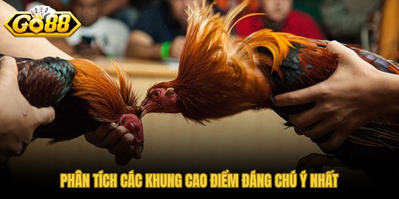 Khung cao điểm đá gà Thomo và nhịp đấu rõ nhất để ra quyết định