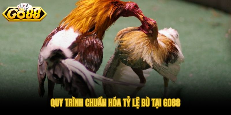Quy trình GO88 chuẩn hóa tỷ lệ bù kèo đá gà nòi minh bạch