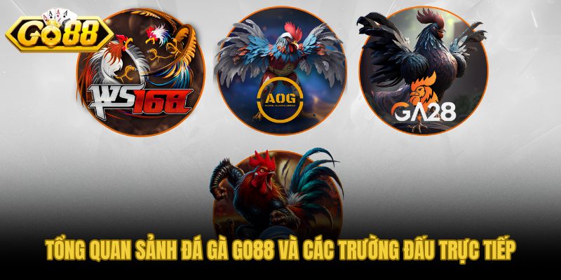 Đá gà GO88 trực tiếp từ hai trường đấu quốc tế lớn nhất khu vực