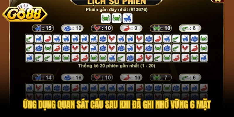 Quan sát cầu có kỷ luật sau khi thuần thục nhận diện xúc xắc