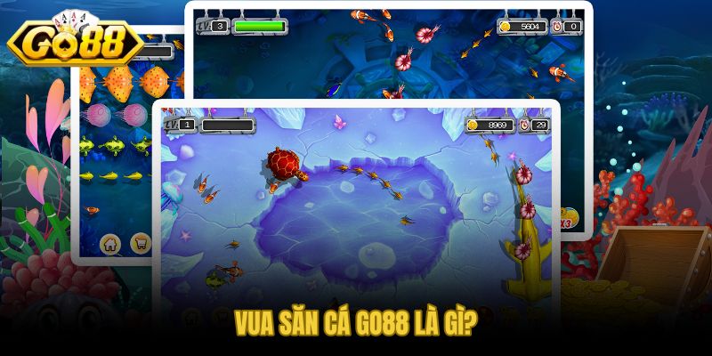 Game vua săn cá GO88 và lối chơi trực quan với phần thưởng phong phú